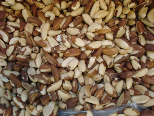 brazil nut kernels