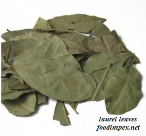 organic laurel leaves foodimpex