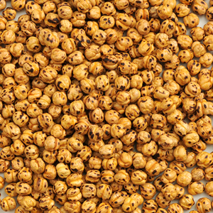 yellow double roasted chickpeas