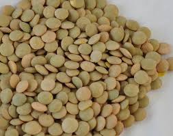 Green-lentils