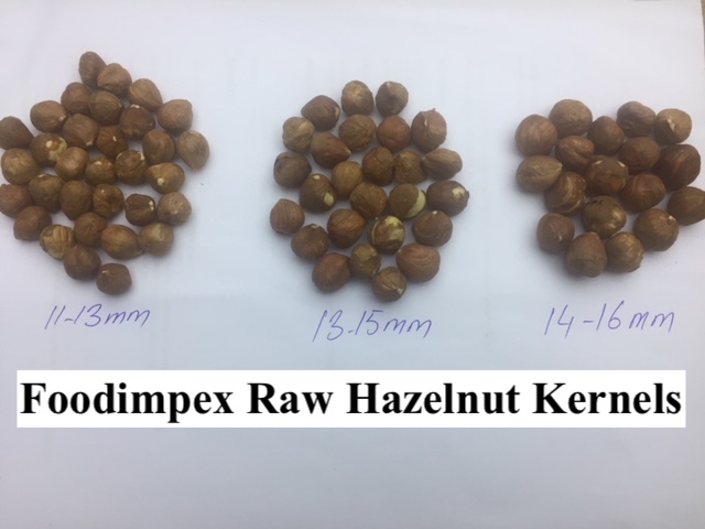 raw hazelnut kernels