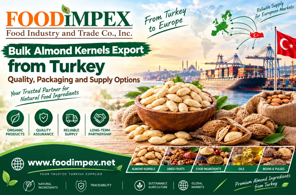 Bulk Almond Kernels Export from Turkey: Quality, Packaging and Supply Options 2 Bulk Almond Kernels Export
